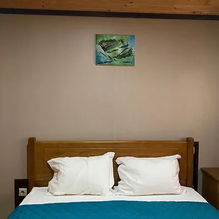 Gothes Javier Alpesi faház *