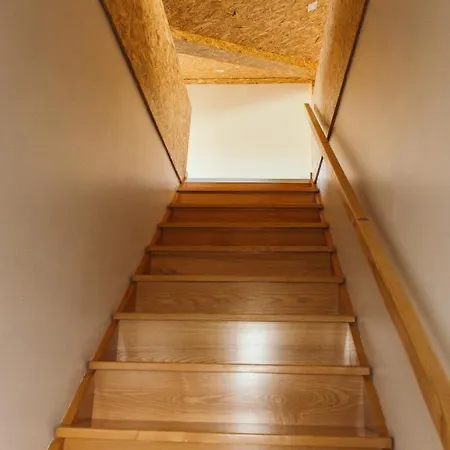 Gothes Javier 木屋 Ponte de Vagos